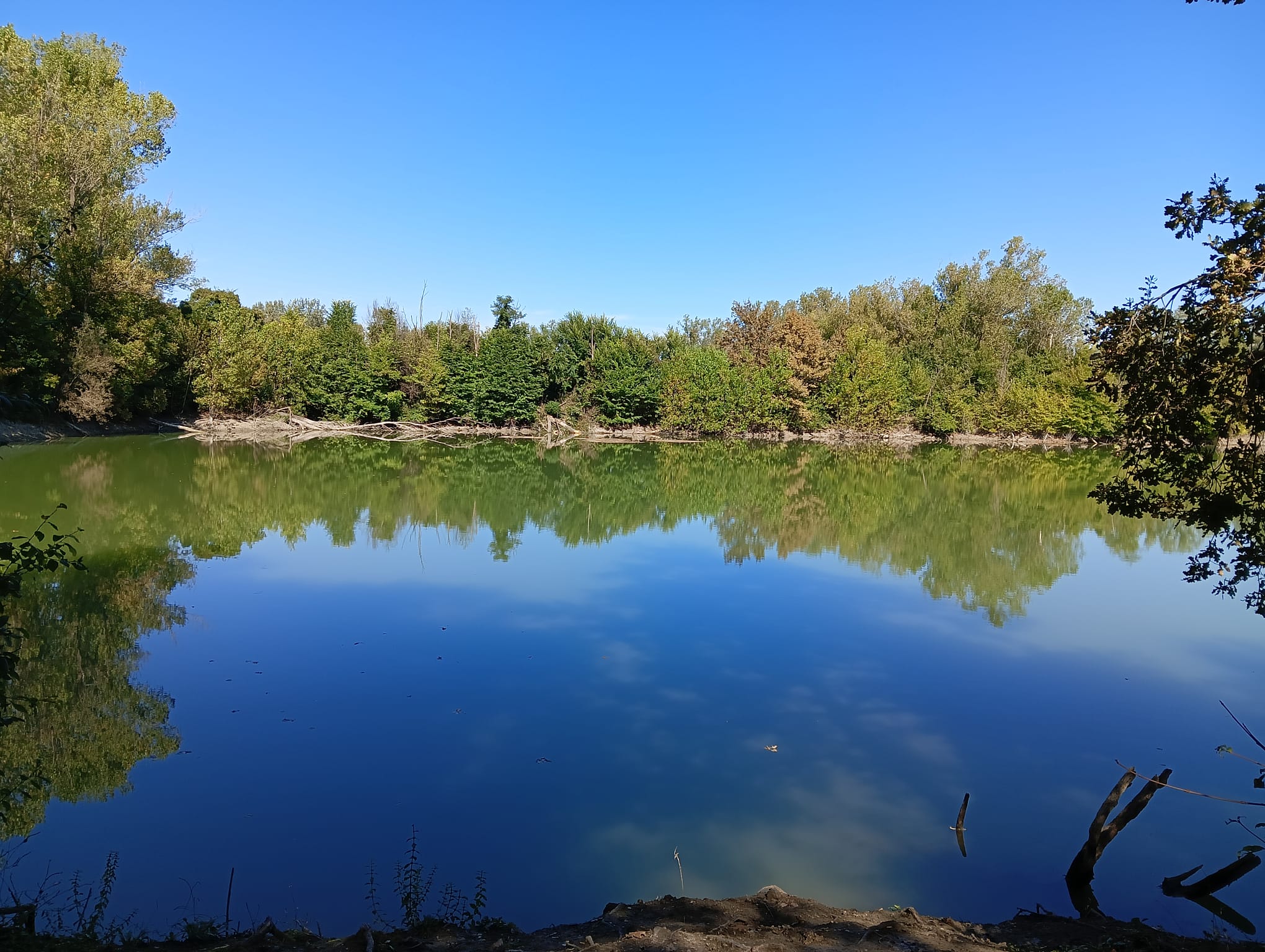 Carpfishing